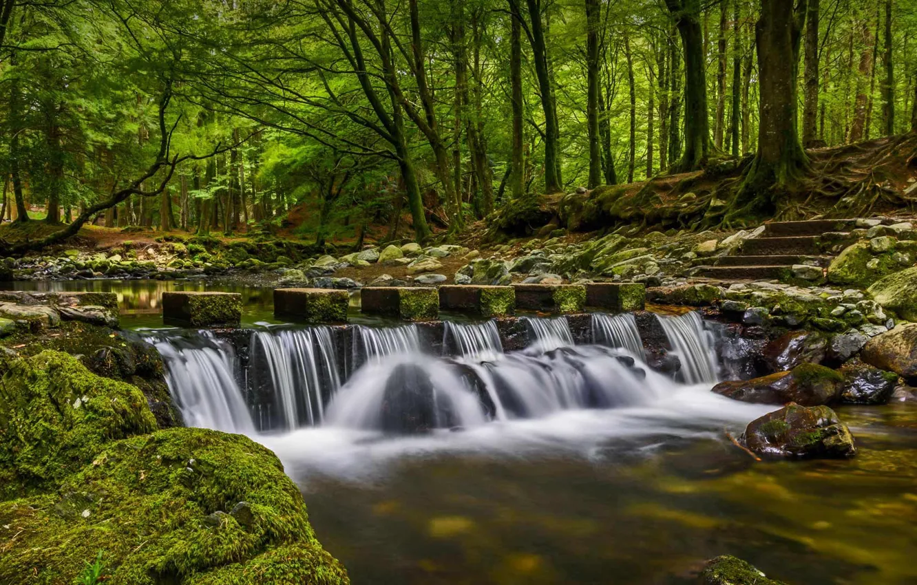 Photo wallpaper forest, Park, river, waterfall, Northern Ireland