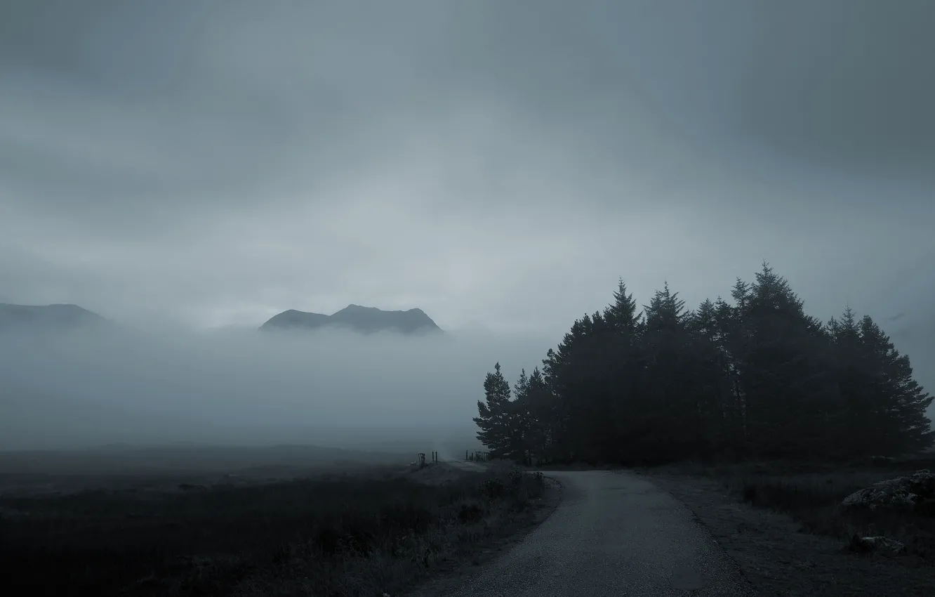 Photo wallpaper road, forest, mountains, fog