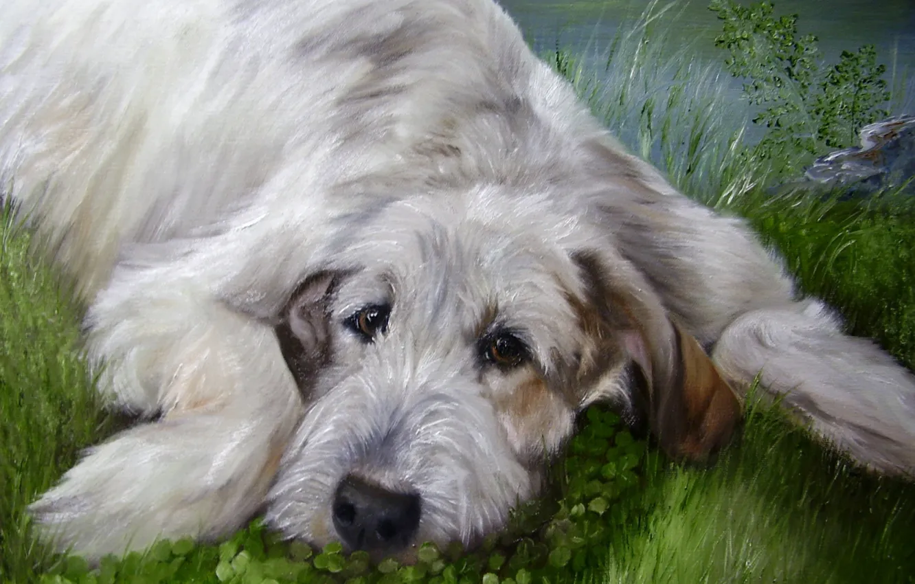 Photo wallpaper look, pose, oil, portrait, dog, painting, face, canvas