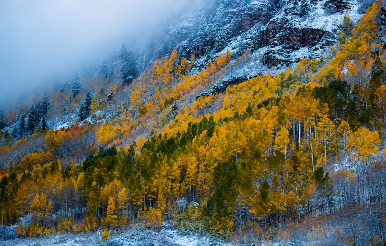 Photo wallpaper autumn, snow, trees, mountains, slope