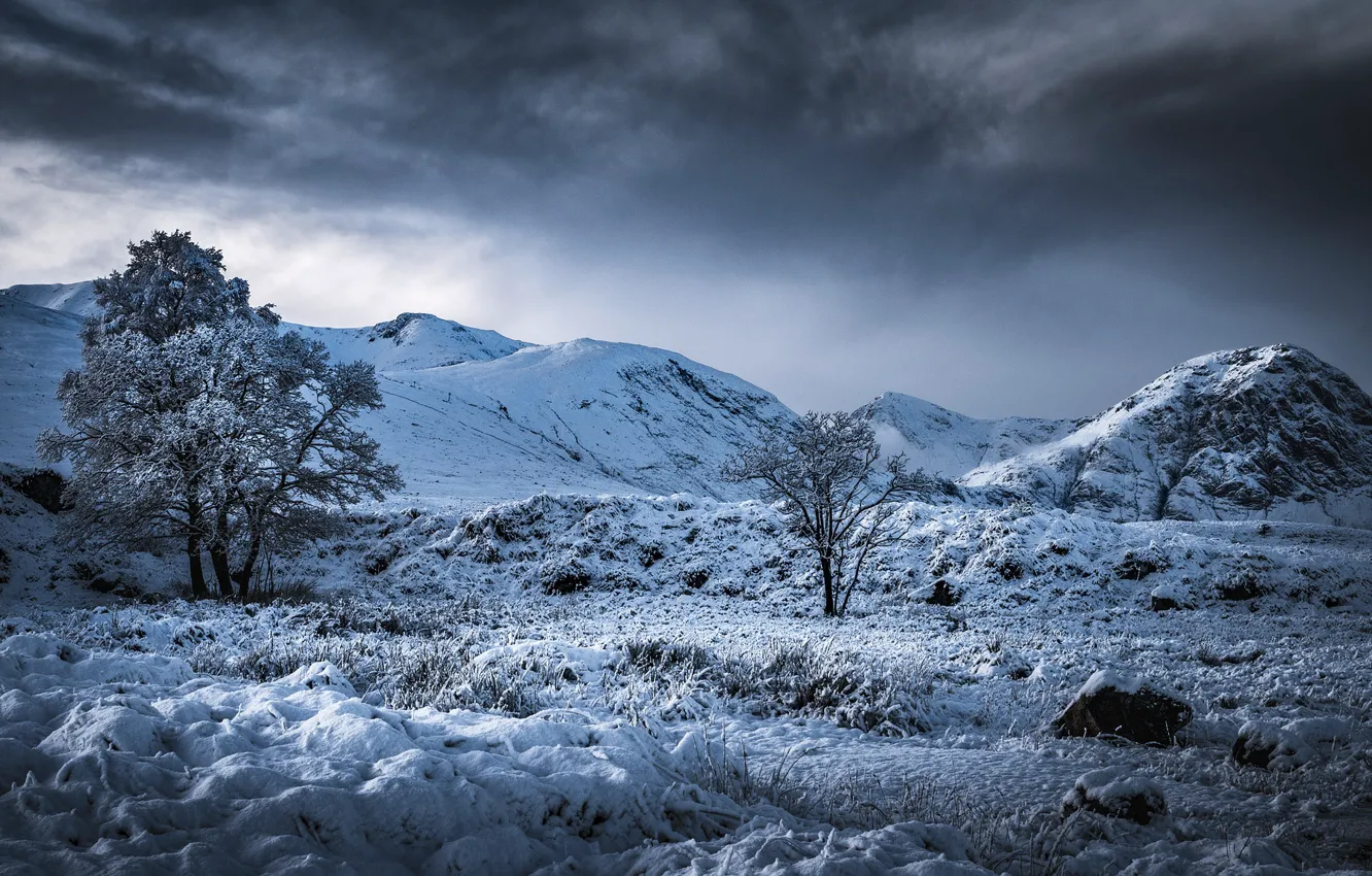 Photo wallpaper winter, trees, mountains, valley, Scotland, Scotland, Highland, Highland