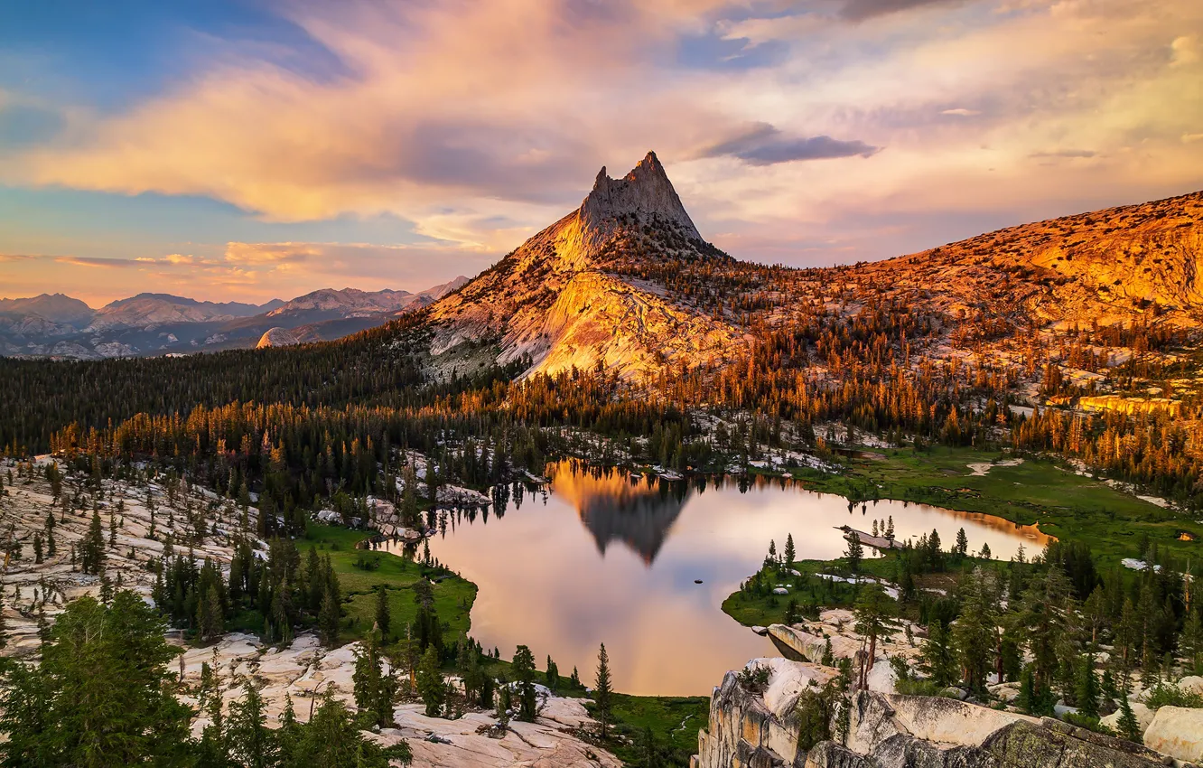 Photo wallpaper forest, mountains, tops, height, lighting