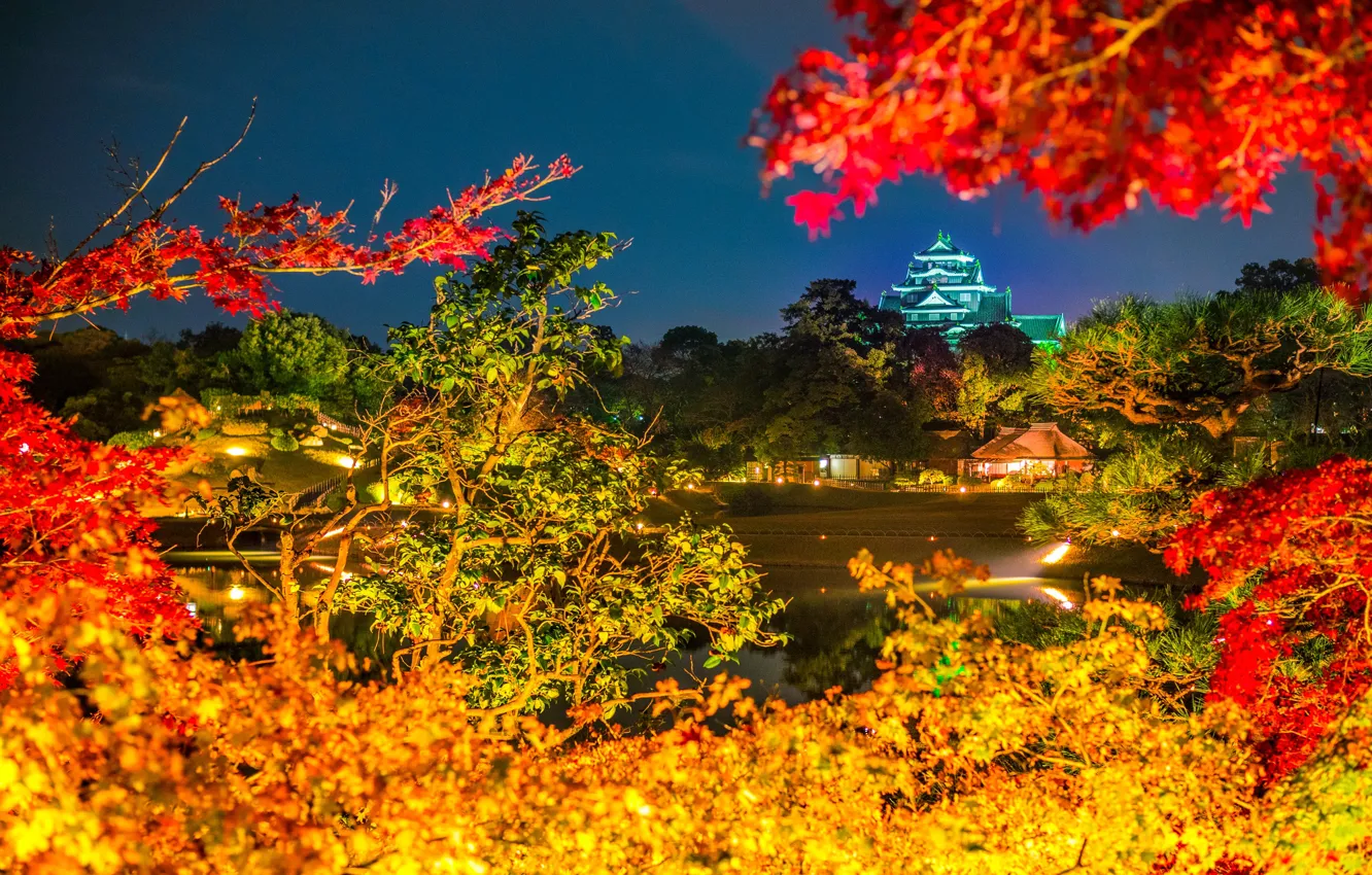 Photo wallpaper autumn, leaves, night, lights, paint, Japan, pagoda