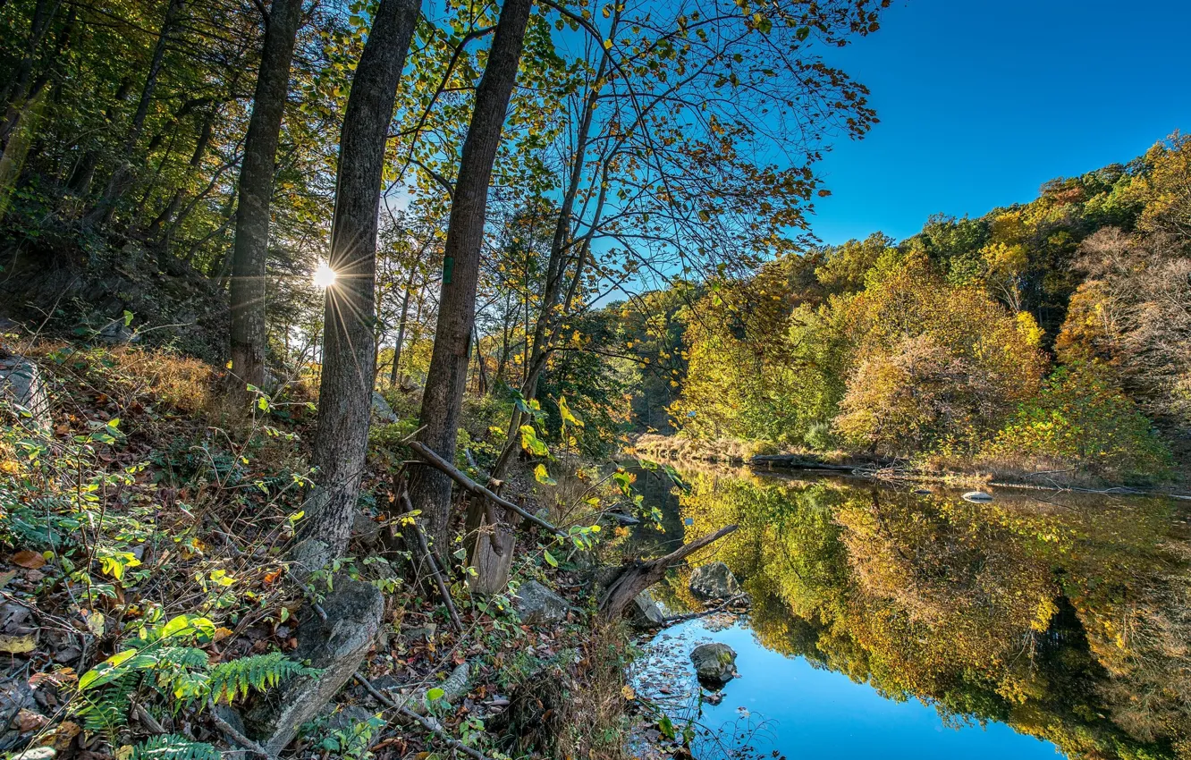 Photo wallpaper autumn, the sky, water, trees, landscape, nature, reflection, river