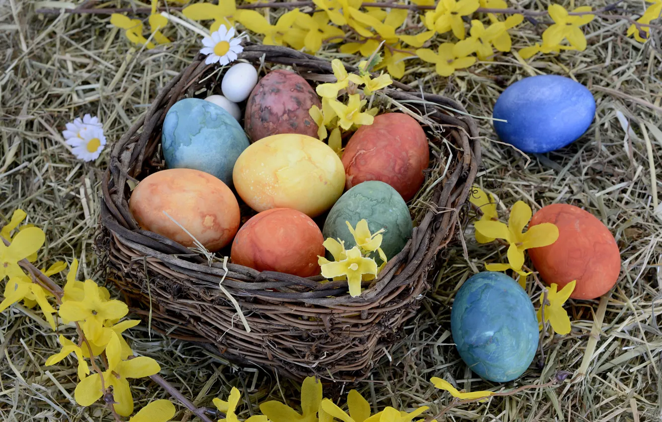Photo wallpaper flowers, holiday, basket, eggs, Easter, hay