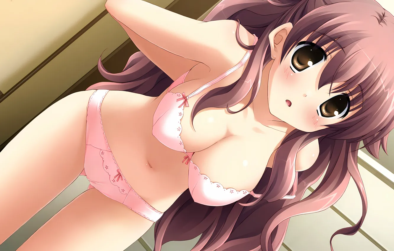 Photo wallpaper girl, sexy, lingerie, Cameltoe, bra, cleavage, panties, long hair