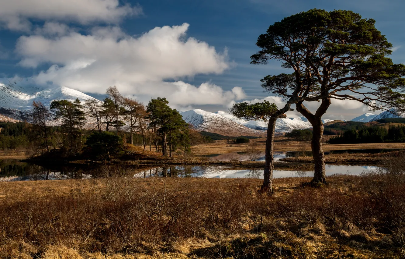 Photo wallpaper autumn, the sky, clouds, trees, mountains, blue, branch, shore