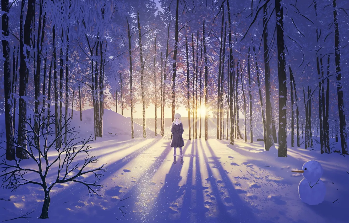 Photo wallpaper winter, girl, the sun, snow, trees, sunset, anime, art