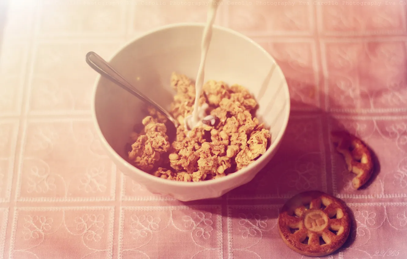 Photo wallpaper milk, cookies, plate