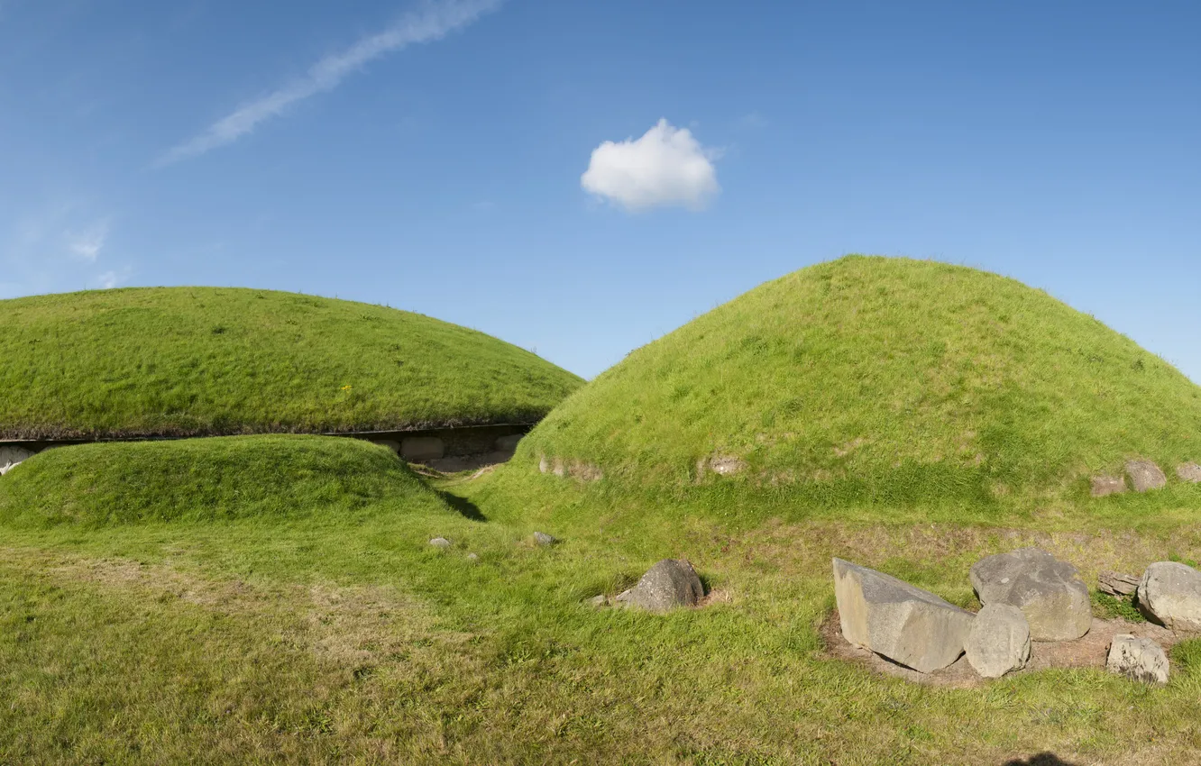 Photo wallpaper field, forest, the sky, grass, clouds, trees, stones, hills
