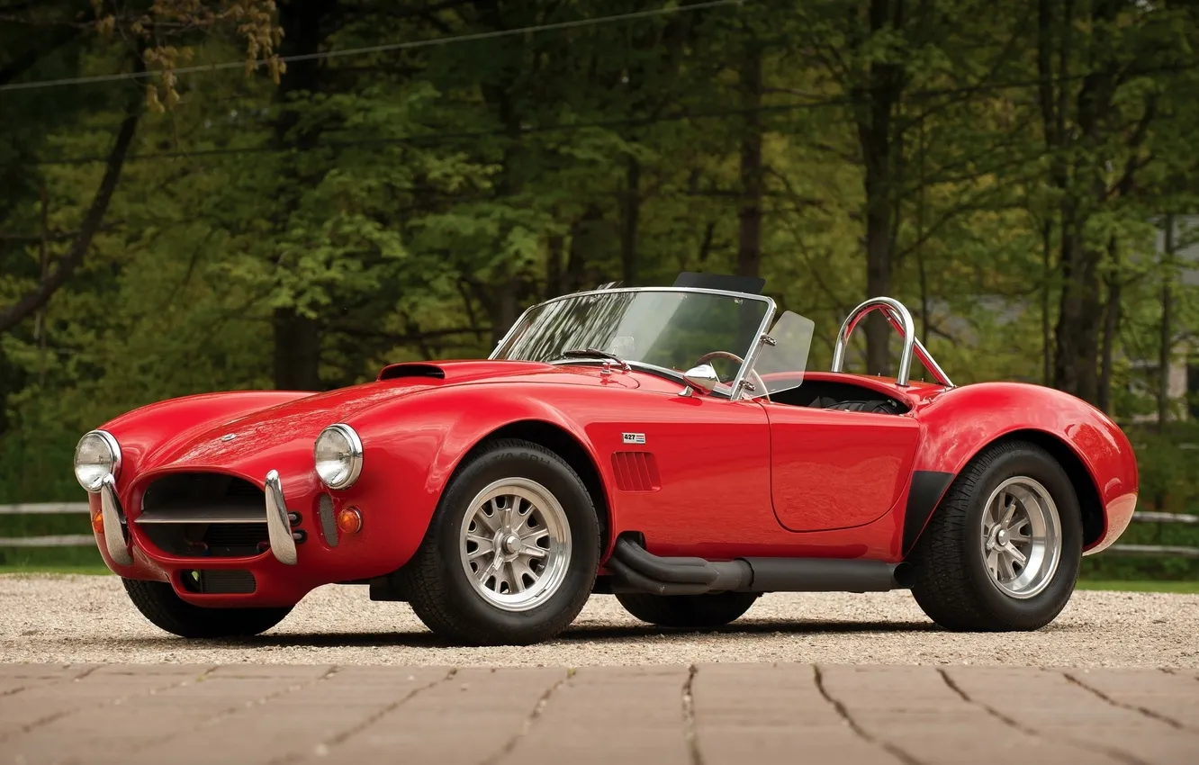 Photo wallpaper forest, trees, red, Shelby, supercar, Cobra, classic, Shelby