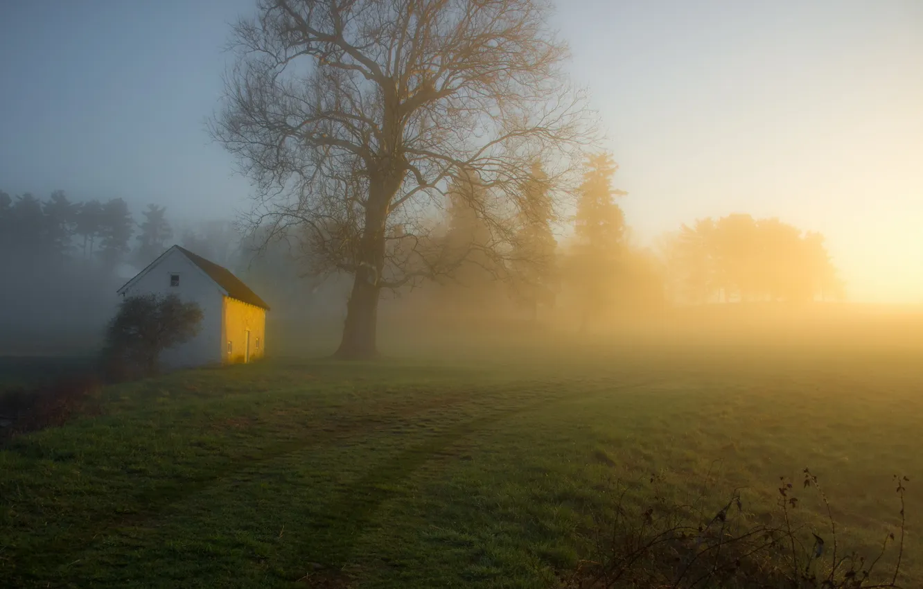 Photo wallpaper road, fog, morning