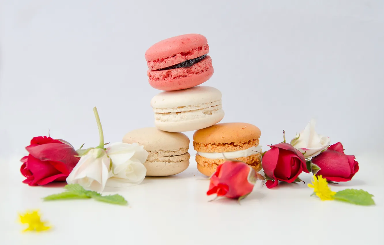 Photo wallpaper flowers, roses, colorful, flowers, sweet, roses, cookies, macaron