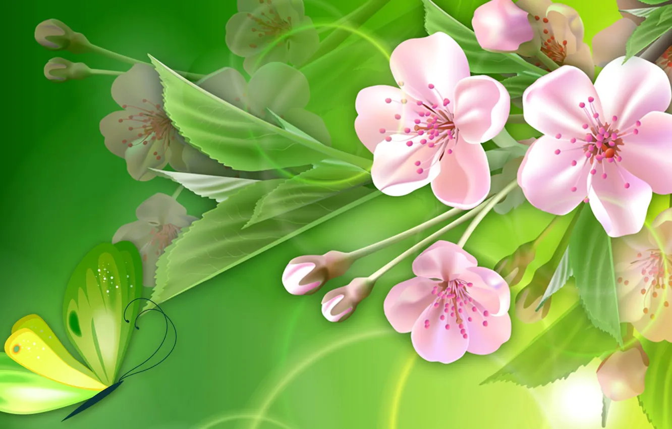 Photo wallpaper flowers, collage, butterfly, spring, garden