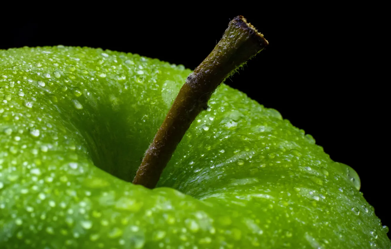 Photo wallpaper drops, macro, green, apples