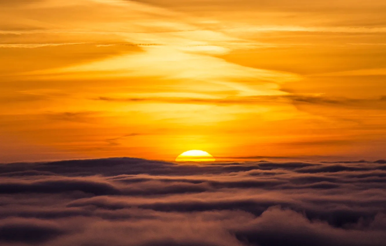 Photo wallpaper the sky, clouds, sunset, horizon, orange sky