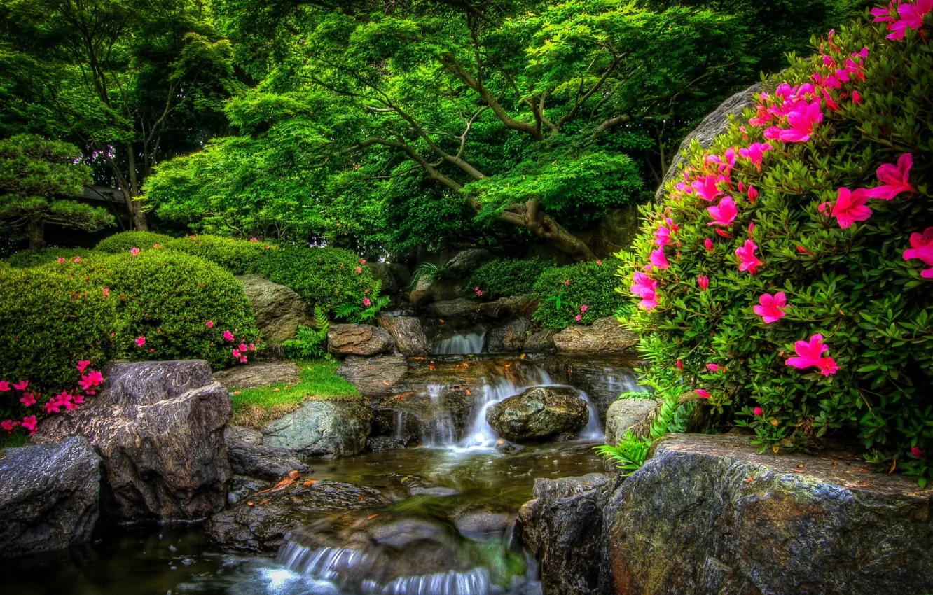 Photo wallpaper forest, flowers, nature, Park, river, stones, forest, river