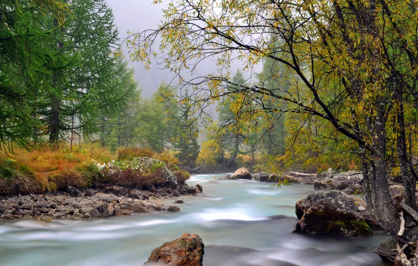 Photo wallpaper autumn, forest, nature, river, stream