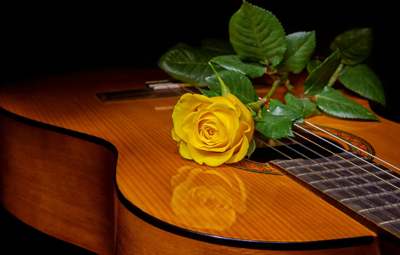 Photo wallpaper style, rose, guitar, yellow rose