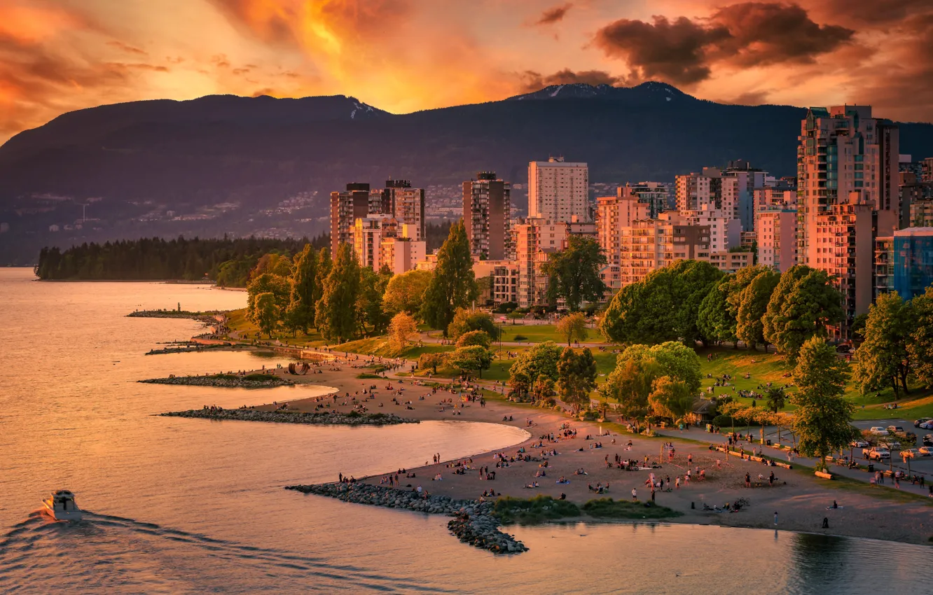 Photo wallpaper forest, beach, the sky, clouds, light, trees, sunset, mountains