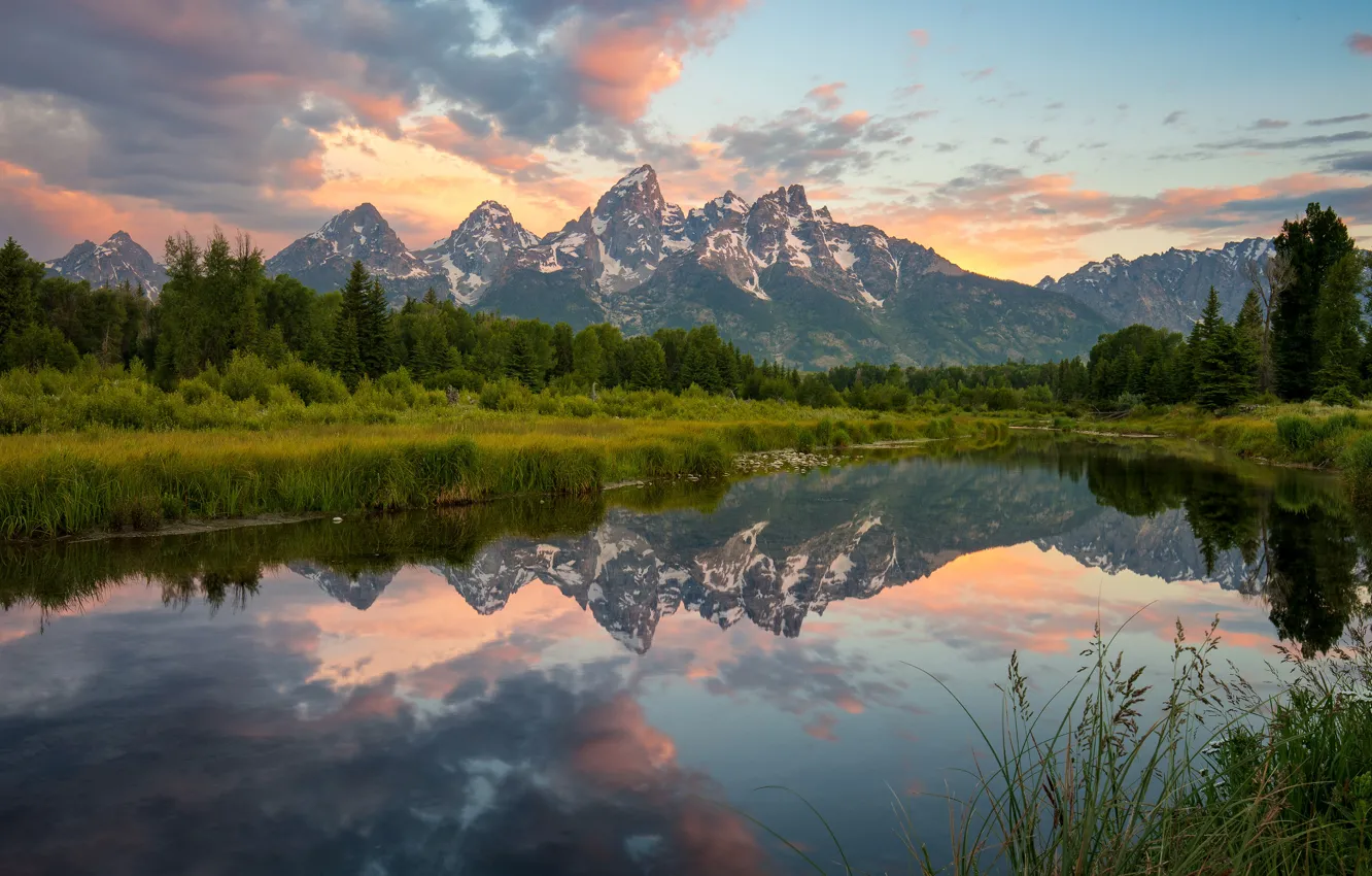 Photo wallpaper forest, summer, the sky, grass, clouds, trees, landscape, mountains