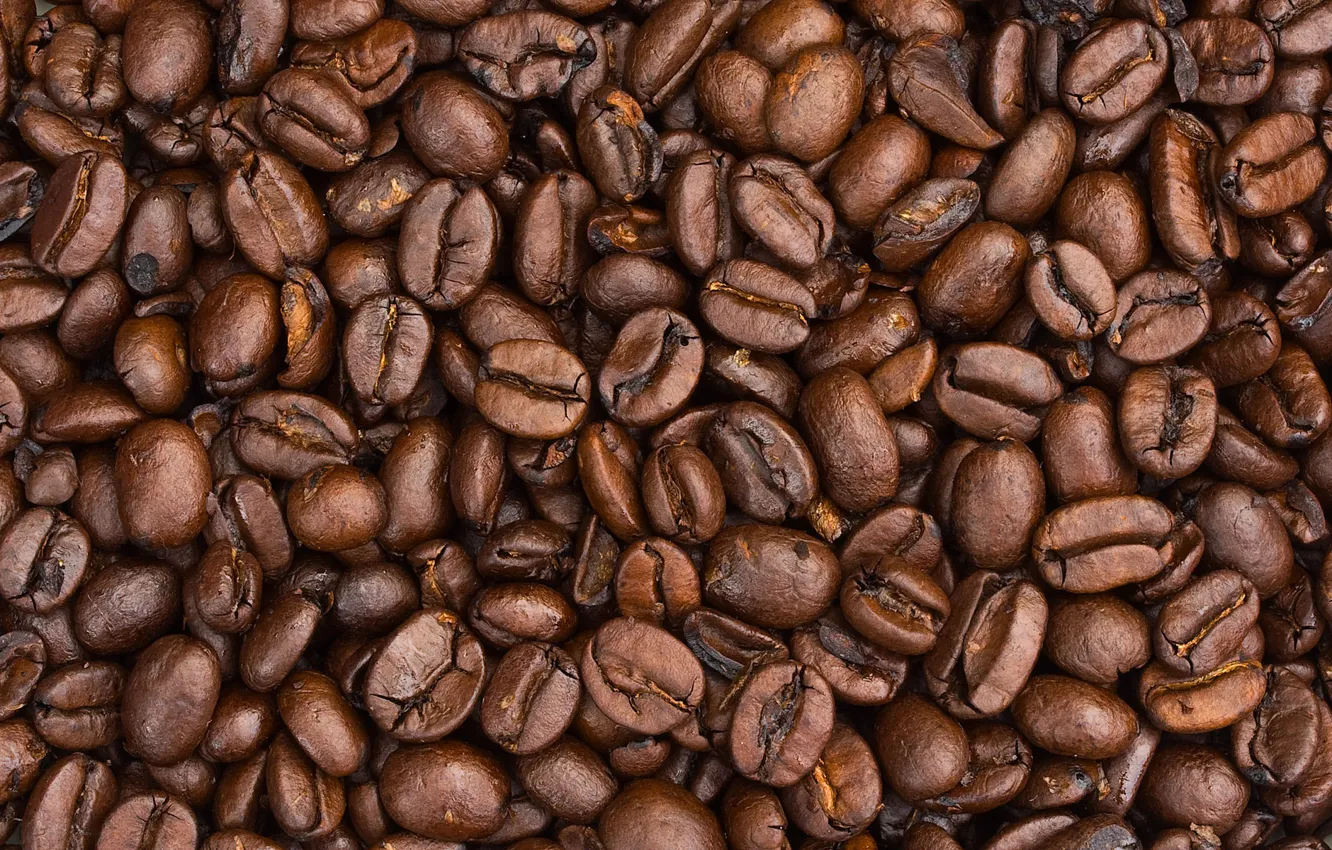 Photo wallpaper macro, coffee, grain