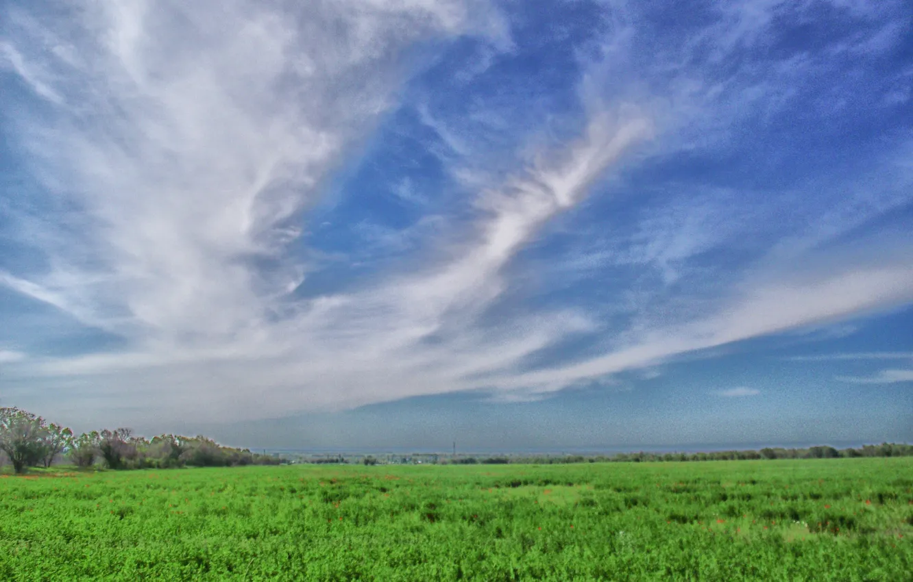 Photo wallpaper the sky, grass, clouds, loneliness, serenity, beautiful, blue sky, the buzz
