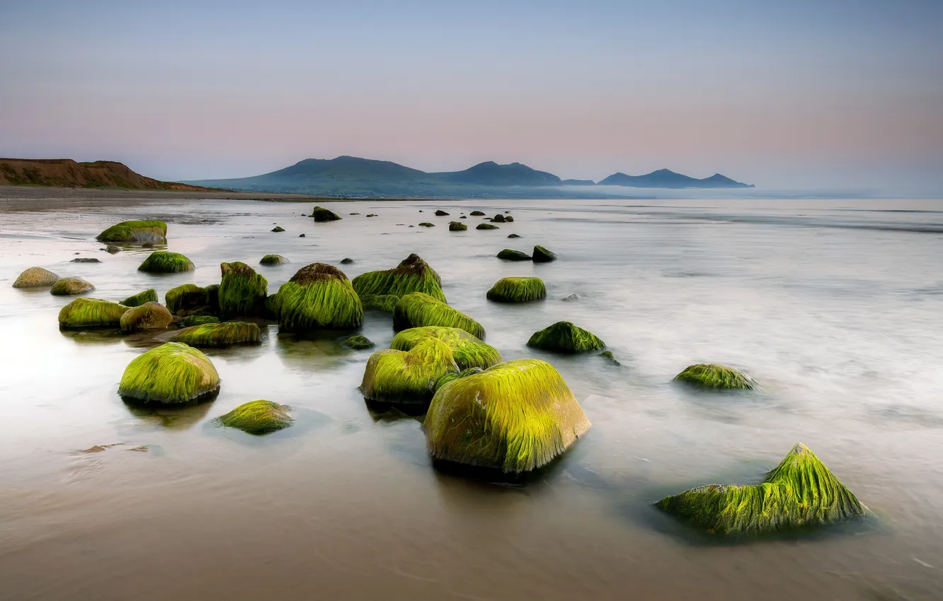 Photo wallpaper sea, stones, shore