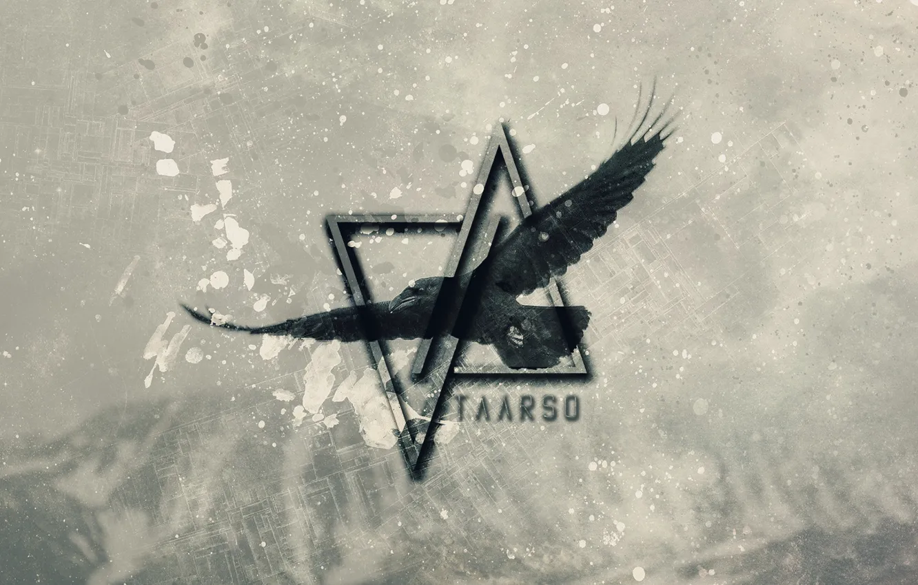 Photo wallpaper dark, wallpaper, Music, bird, crow, electro, progressive, perfect