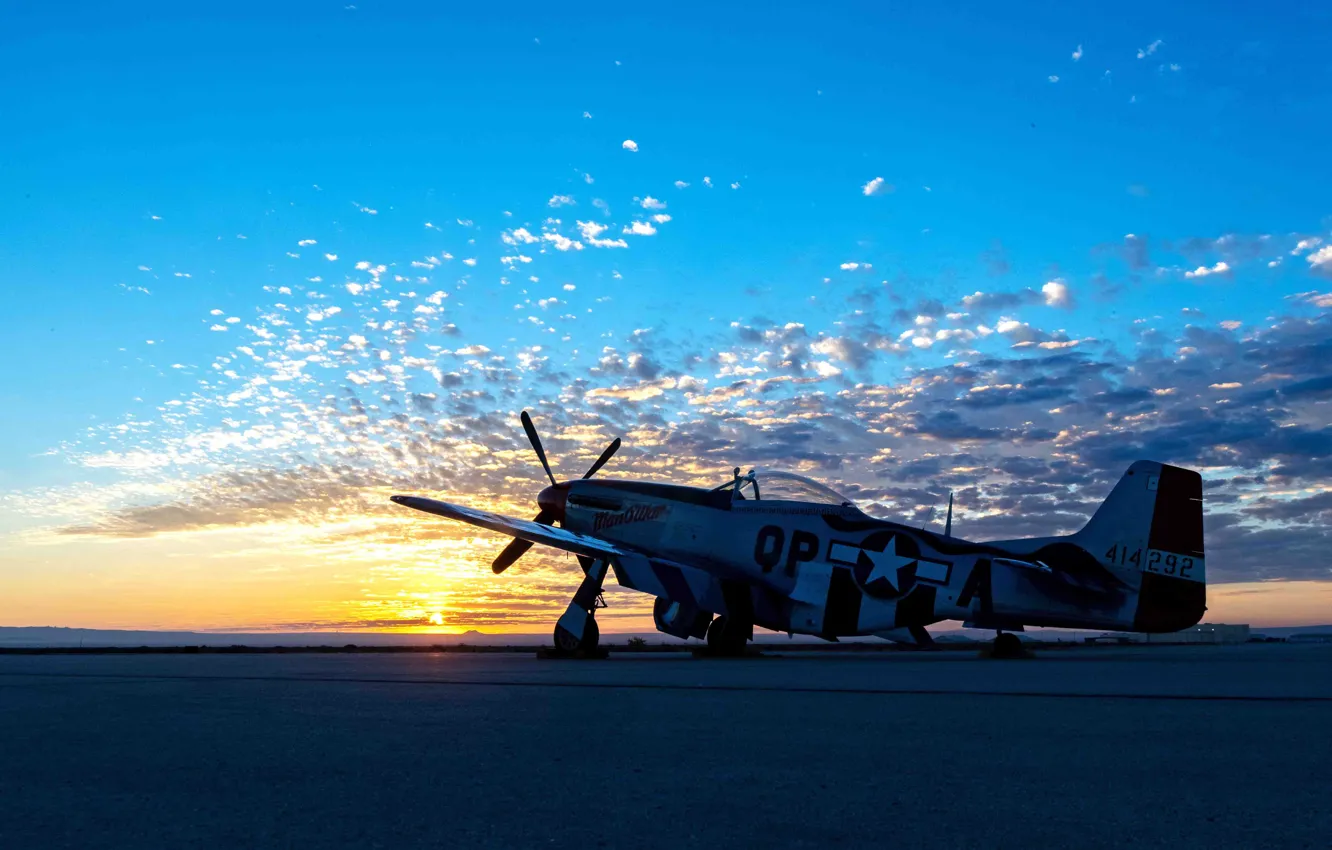 Photo wallpaper UNITED STATES AIR FORCE, long-range, North American P-51 Mustang, American single-seat fighter