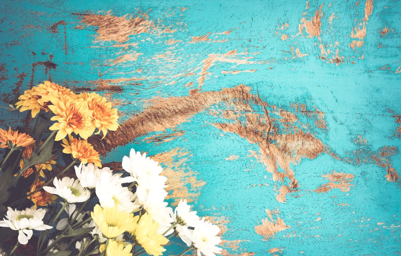 Photo wallpaper flowers, bouquet, summer, vintage, flower, chrysanthemum, blue, spring