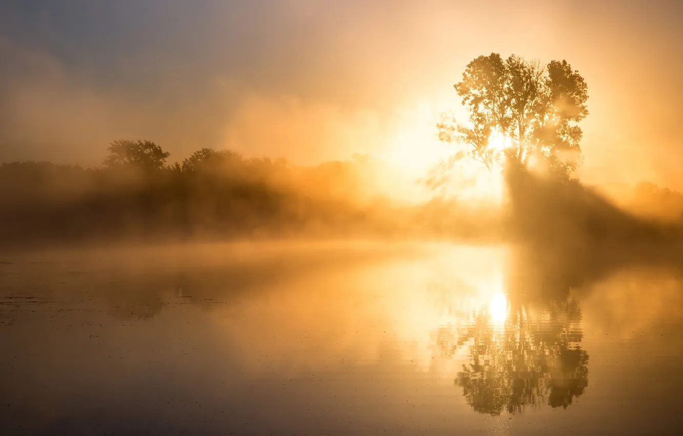 Photo wallpaper nature, lake, morning, haze