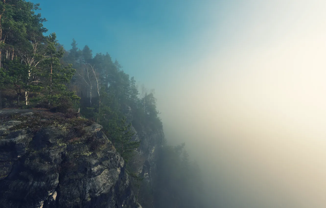 Photo wallpaper forest, summer, the sky, trees, mountains, fog, rocks, morning