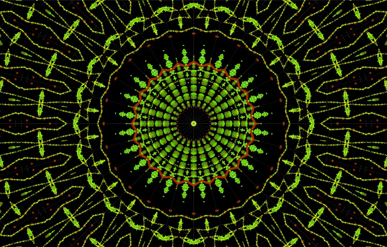 Photo wallpaper circles, pattern, black background, kaleidoscope, green pattern
