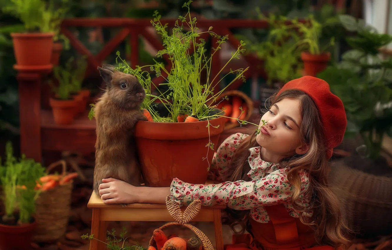 Photo wallpaper mood, rabbit, girl, long hair, carrots, takes, Lyubov Pyatovskaya