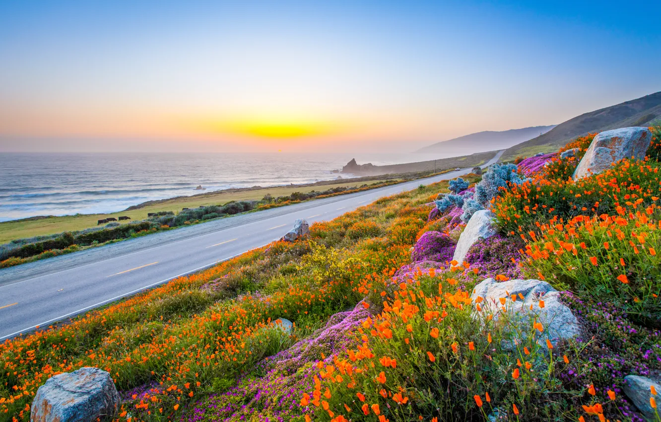 Photo wallpaper road, sea, the sky, sunset, flowers, stones, Maki
