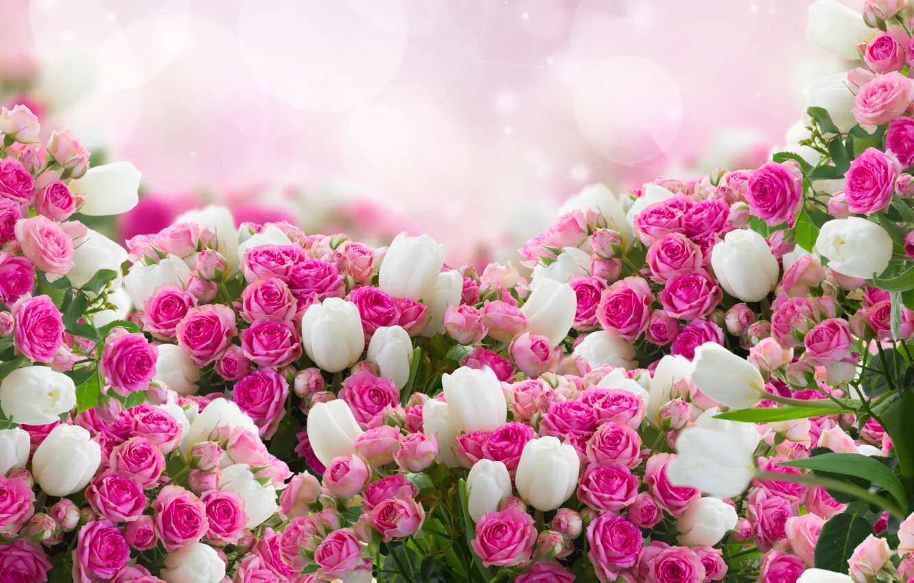 Photo wallpaper flowers, roses, leaf, tulips