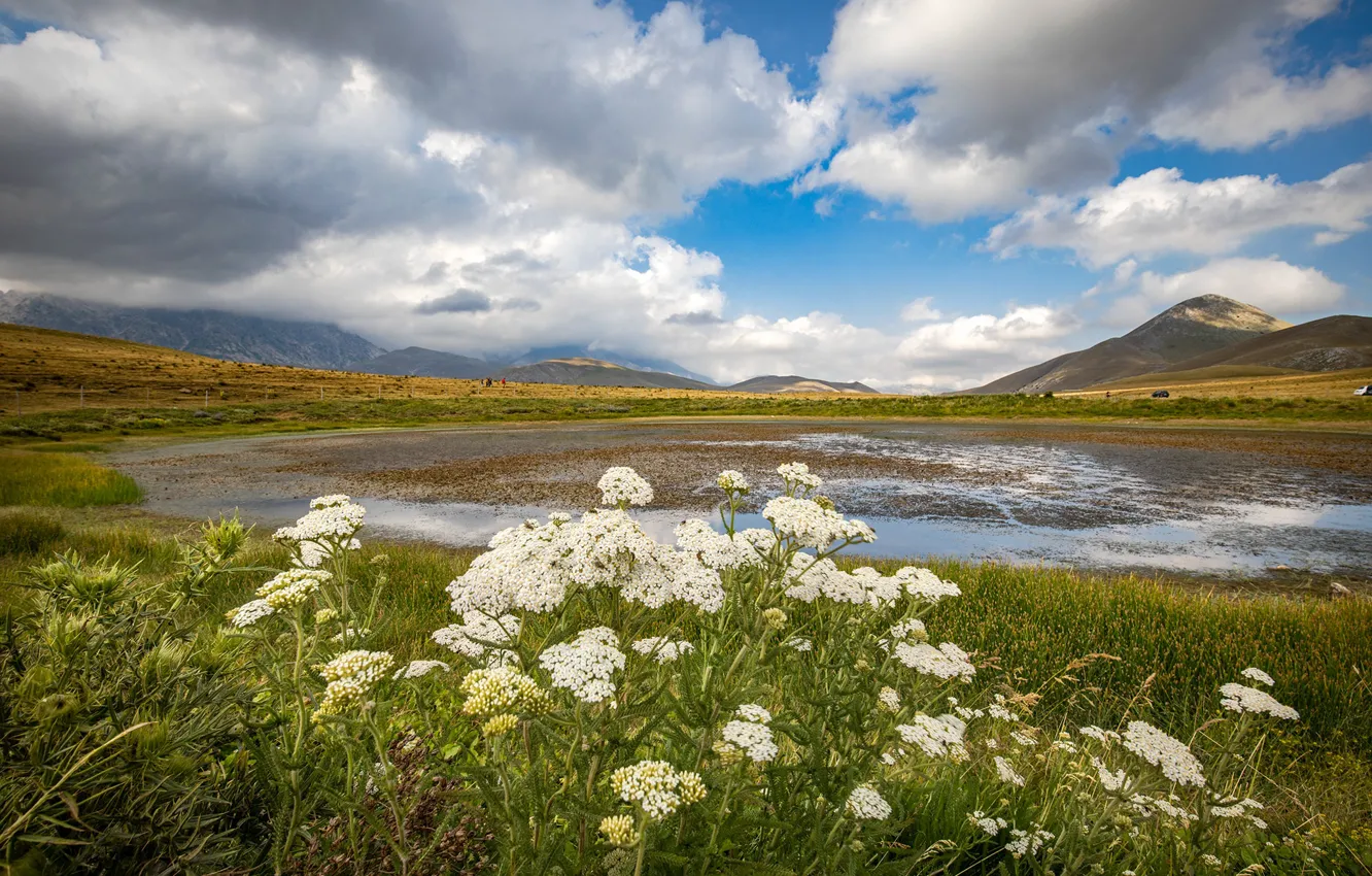 Photo wallpaper flowers, mountains, shore, pond, yarrow