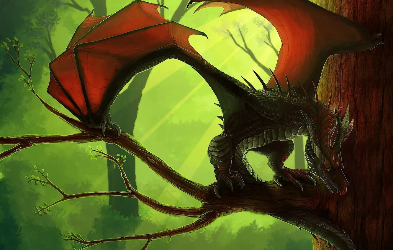 Photo wallpaper trees, branches, dragon, wings, art, Leundra