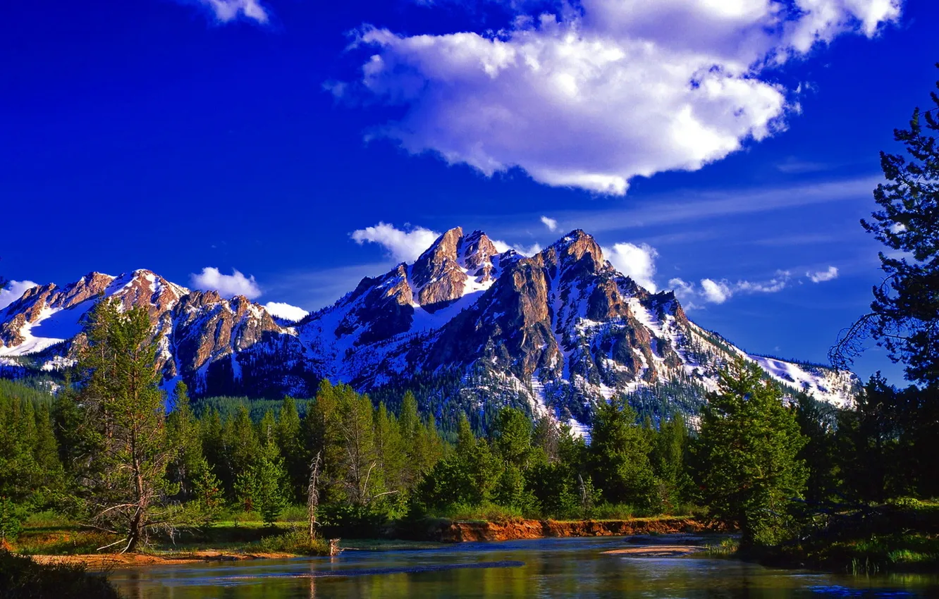 Photo wallpaper forest, mountains, river, Nature