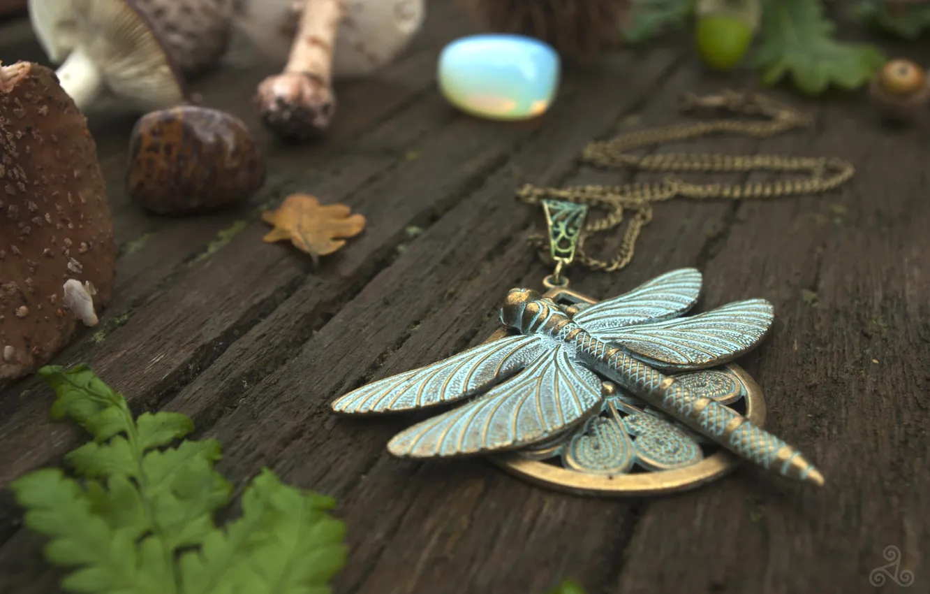 Photo wallpaper dragonfly, pendant, decoration