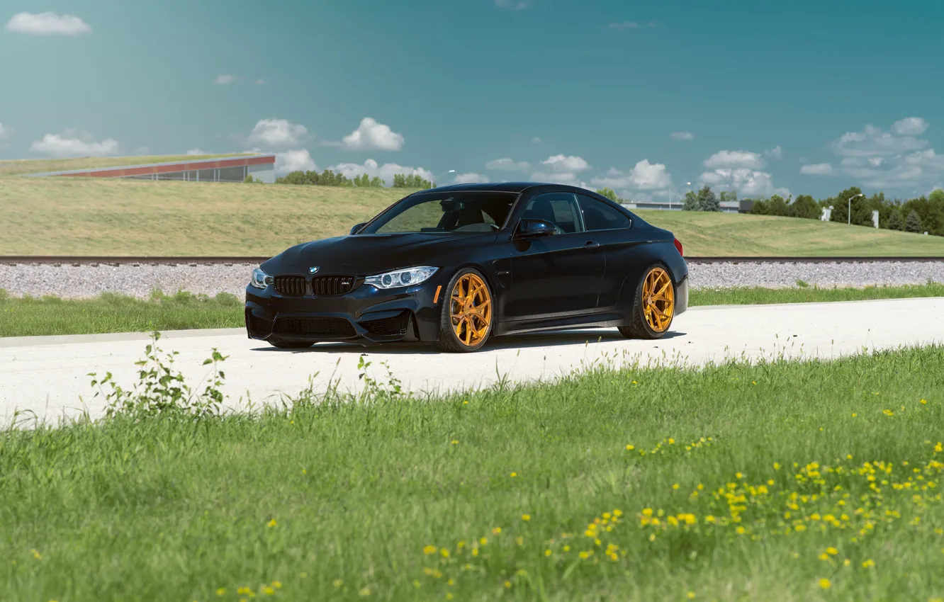 Photo wallpaper BMW, Car, Grass, Front, Black, Day, Summer, Azurite