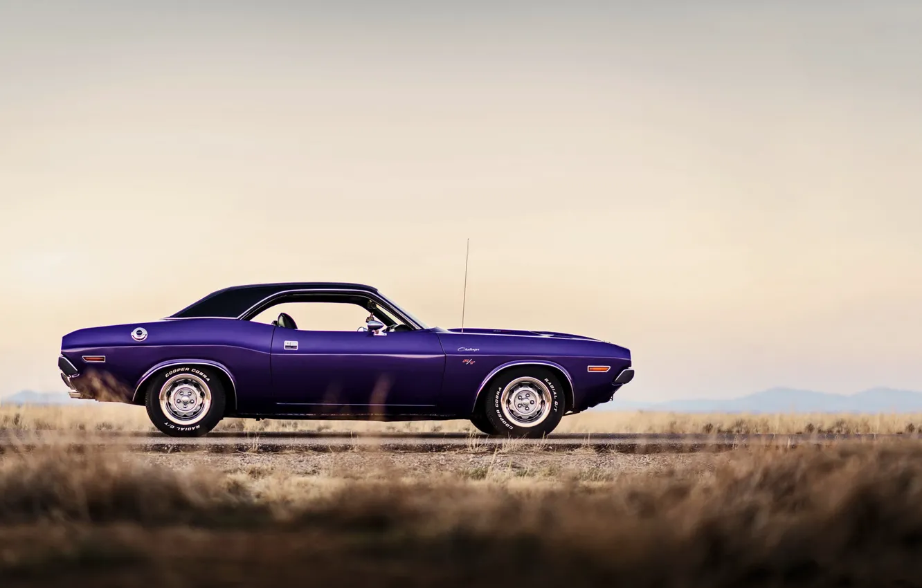 Photo wallpaper Dodge Challenger, muscle car, 1970, lunchbox photoworks