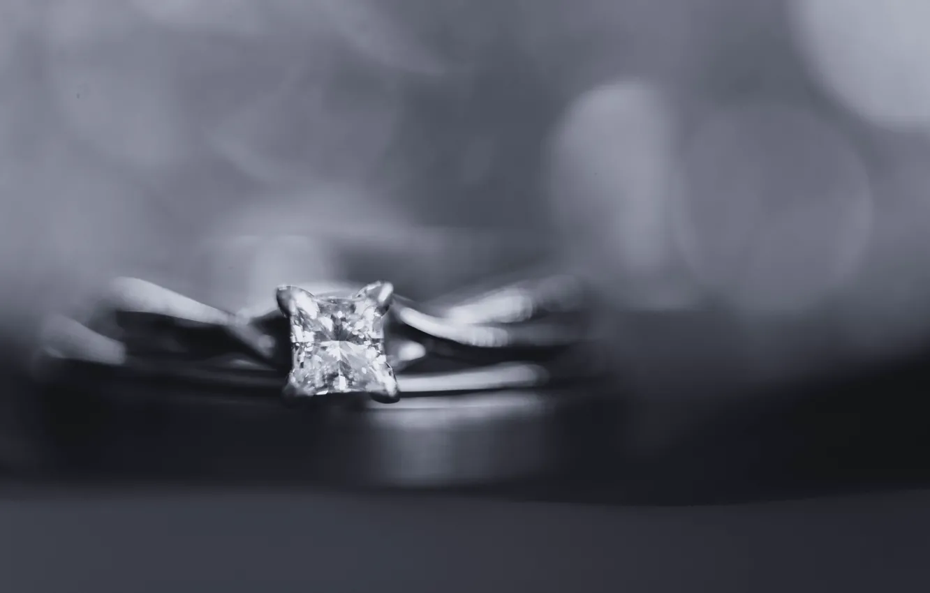 Photo wallpaper stones, ring, black and white, bokeh