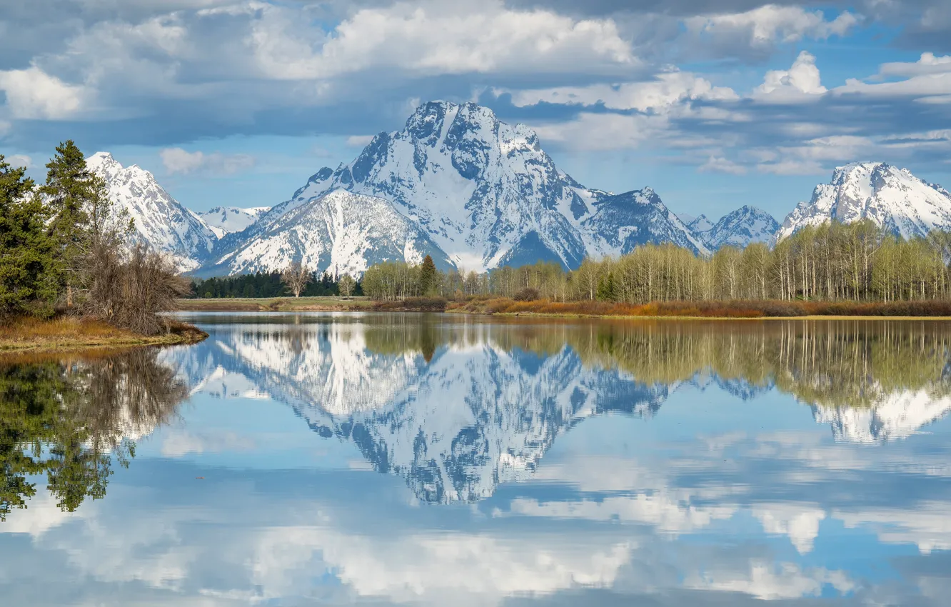 Photo wallpaper autumn, forest, the sky, clouds, light, snow, trees, landscape
