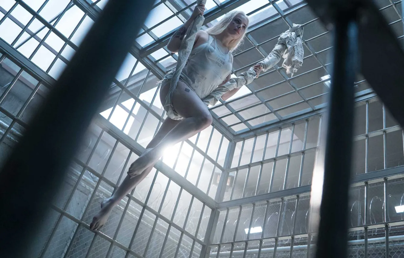 Photo wallpaper Harley Quinn, Harley Quinn, Margot Robbie, Margot Robbie, Suicide Squad, Suicide squad