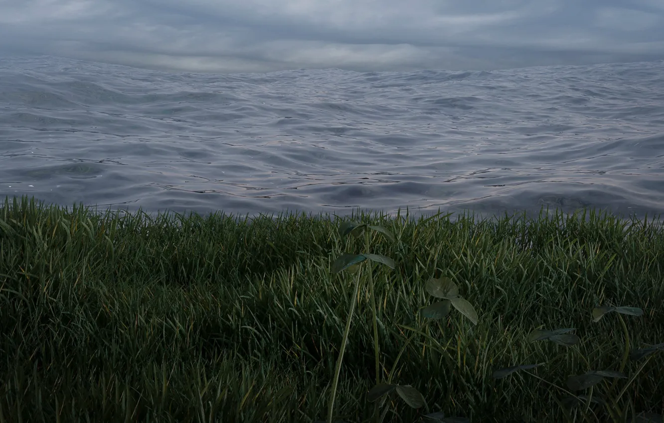 Photo wallpaper grass, storm, sky, nature, atmosphere