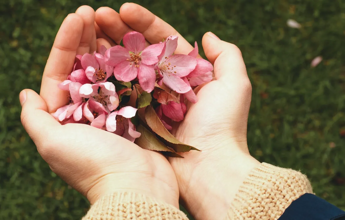 Photo wallpaper flowers, hands, Apple