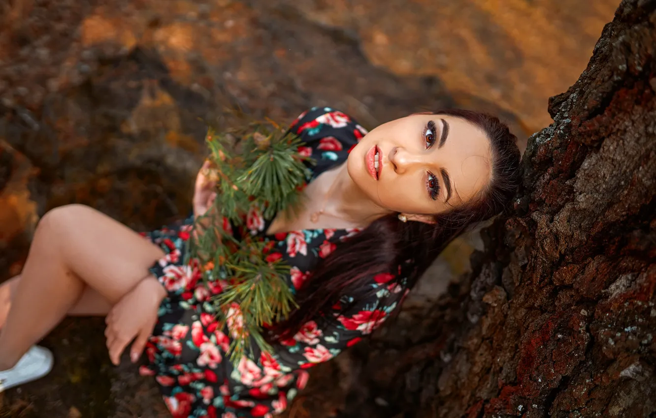 Photo wallpaper look, trees, model, portrait, makeup, dress, brunette, hairstyle