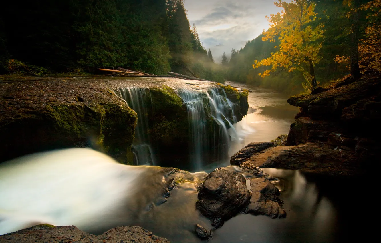 Photo wallpaper autumn, forest, trees, mountains, fog, river, stones, waterfall